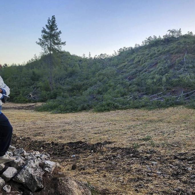 Locals vow to keep fighting to save a forest in southwest Turkey after the chainsaws finish work